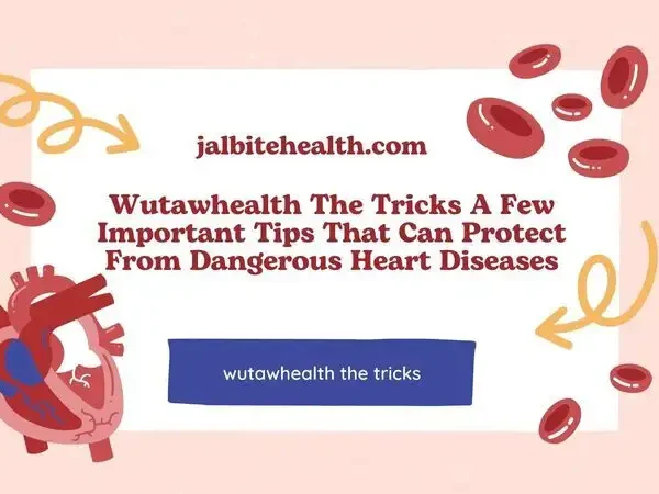 Wutawhealth The Tricks A Few Important Tips That Can Protect From Dangerous Heart Diseases
